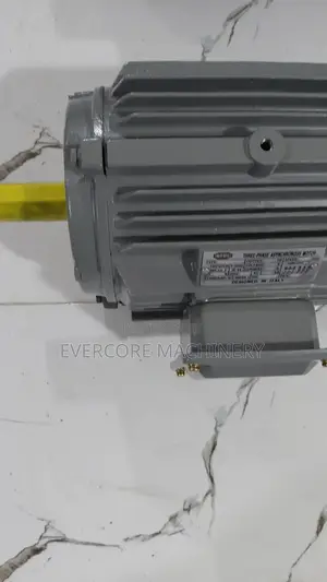 Heavy Duty 3hp STCL Italy Lowspeed 3phase Motor