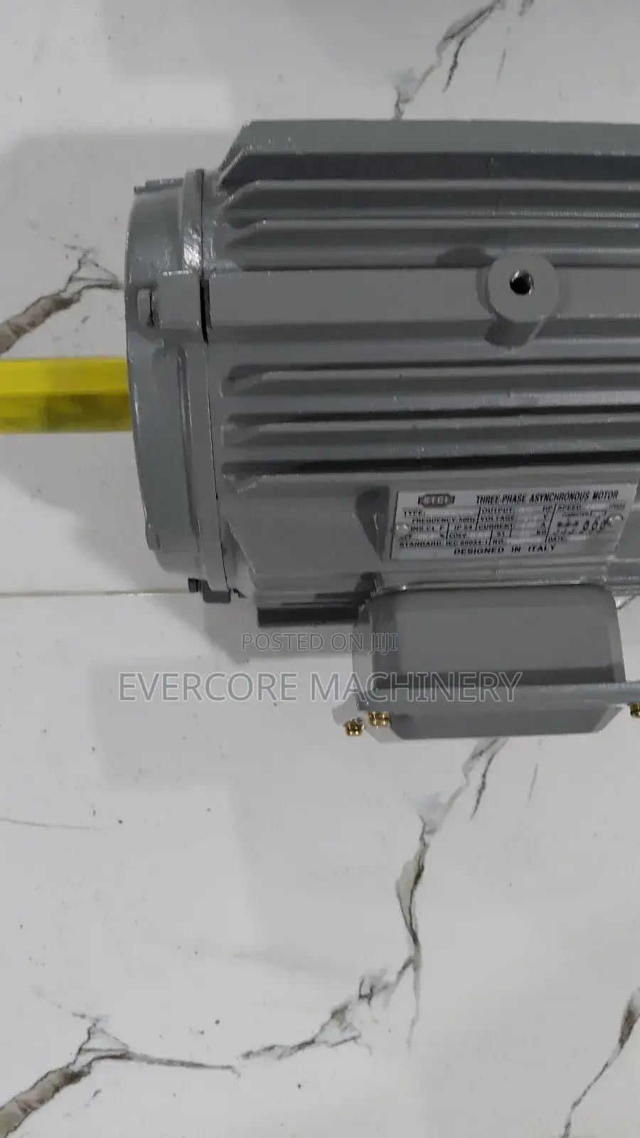 Heavy Duty 3hp STCL Italy Lowspeed 3phase Motor