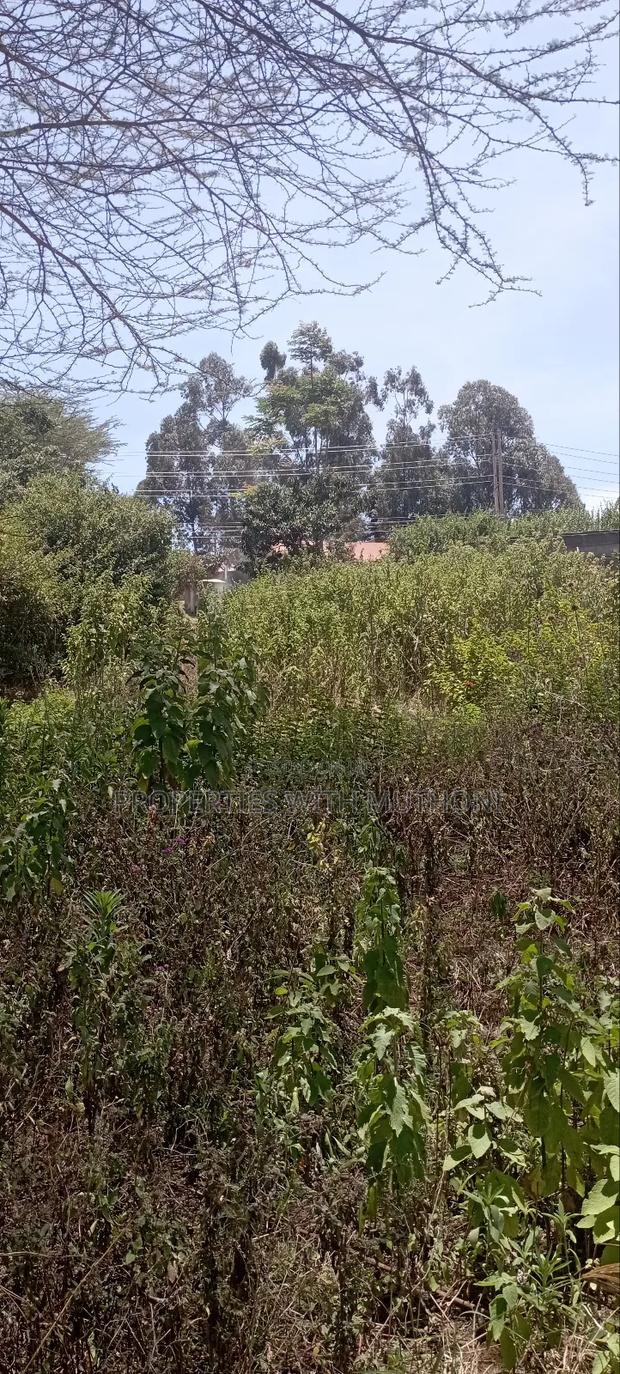 50×100 Plot for Sale in Kibiko, Ngong. - thumbnail 4