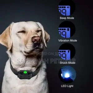 Remote Control Rechargeable Pet Dog Training Collar - For Anti-Barking