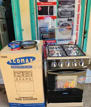 Standing Cooker Full Gas