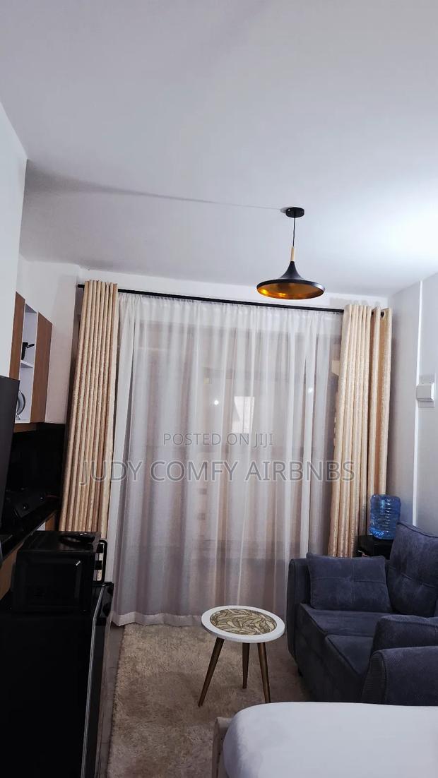 Air BNB Available- Roysambu Area-Studio,1,2 Bedrooms - thumbnail 4