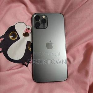 Apple iPhone 12 Pro 256 GB Gray - main view