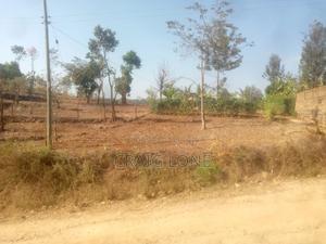 Prime Land for Sale in Chuka. 10 Points in Phase 1 - thumbnail 2