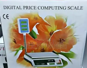 Digital 40kgs Scale