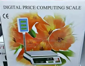 Digital 40kgs Scale