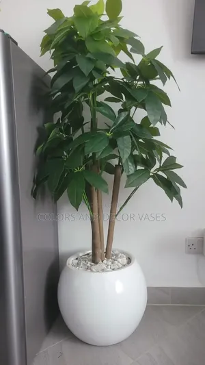 Mango Plant in Glass Fibre Interior Decor