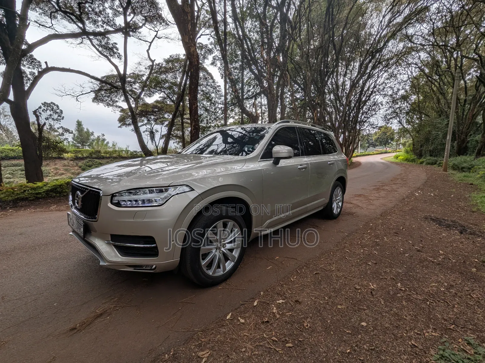 Volvo XC90 T5 Momentum AWD (2.0L 4cyl 8A) 2017 Gold