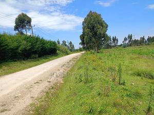 3 Acres on Quick Sale