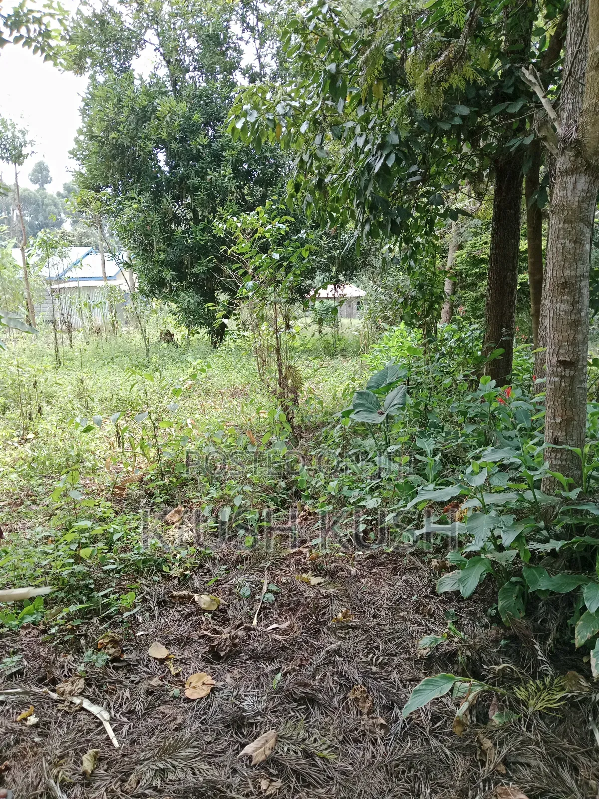 1/4 Acre Land for Sale