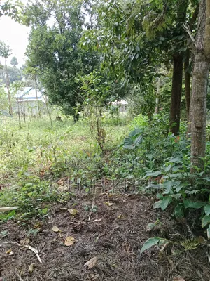 1/4 Acre Land for Sale