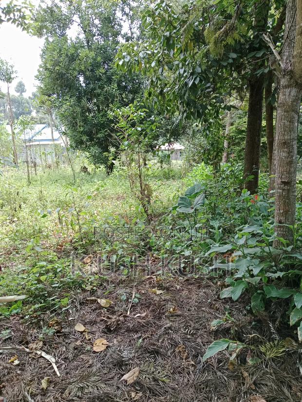 1/4 Acre Land for Sale