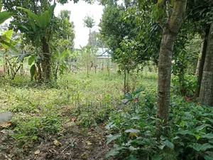 1/4 Acre Land for Sale