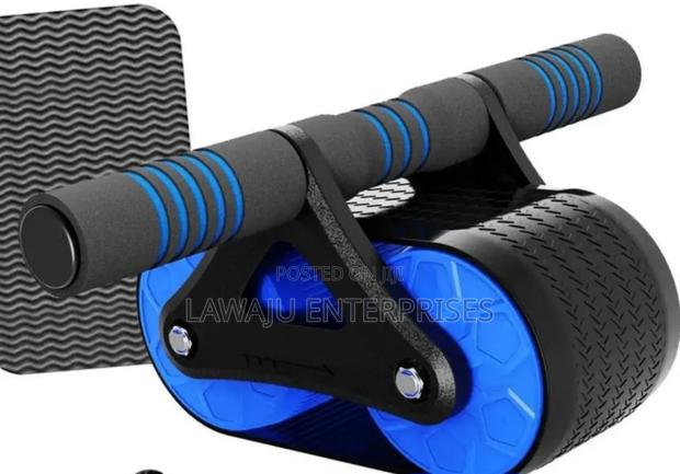 Ab Roller Coaster - main view