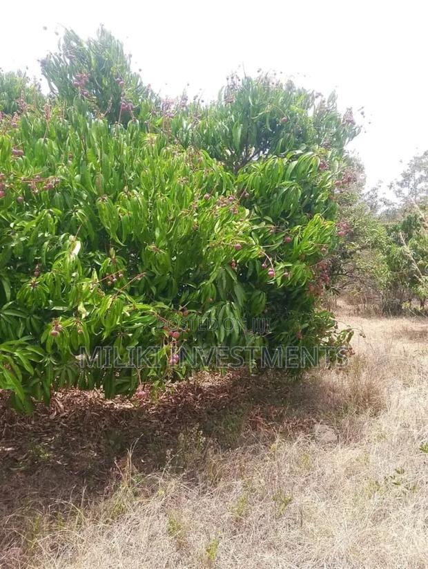 2 Acres Land O N Sale at Makuyu -Mithiini - main view