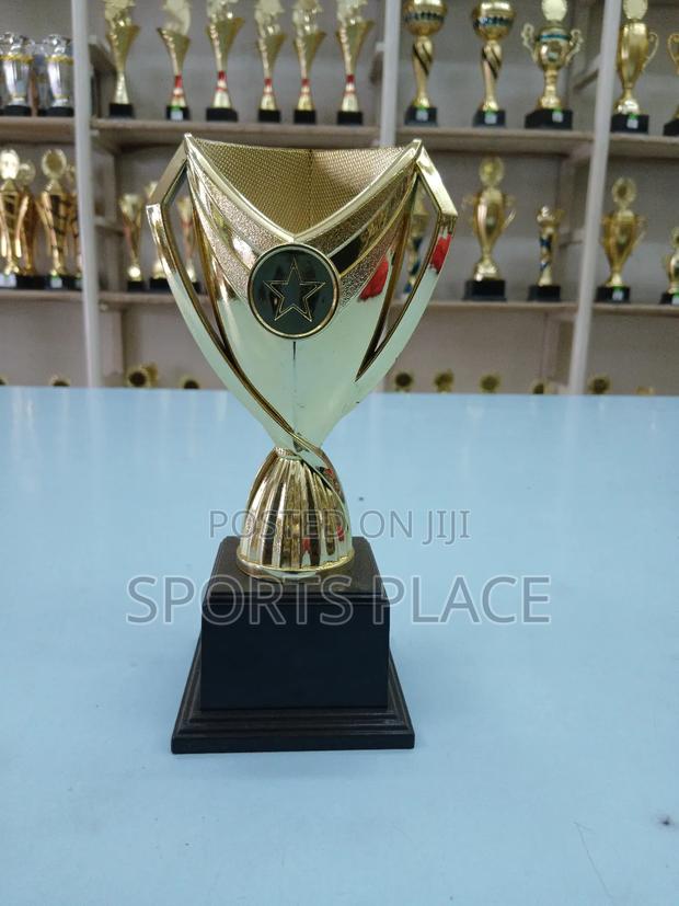 Golden Award Trophy - main view