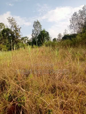 2 Acres on Sale at Maragua-Summar Area