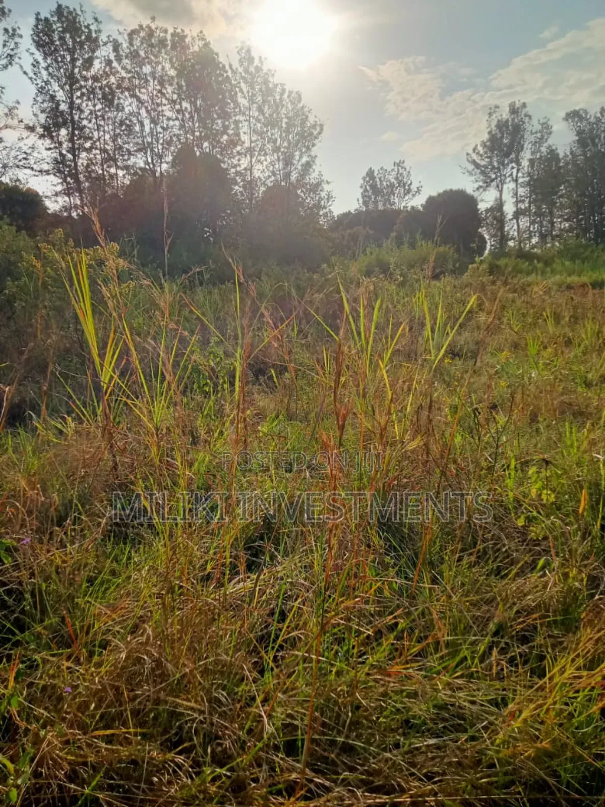 2 Acres on Sale at Maragua-Summar Area