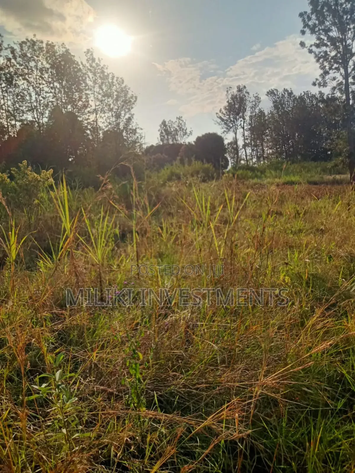 2 Acres on Sale at Maragua-Summar Area