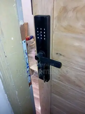 Intelligent Security Smart Home Digital Lock Tuya App Control Wifi