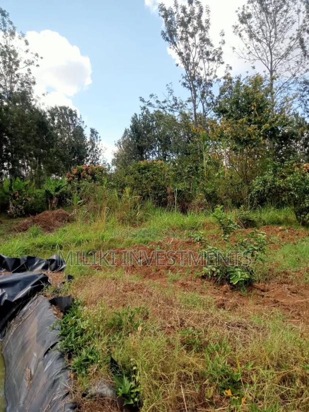 One Acre Land on at Summary -Maragua - thumbnail 6