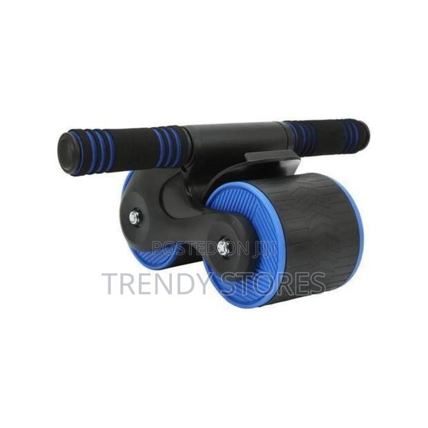 Ab Roller Coaster - main view