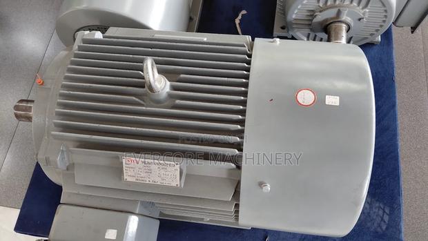 STCL Italy 50hp Lowspeed Electric Motor Three Phase.
