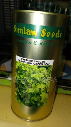 Pasture Legume Desmodium Green Leaf Seeds - 500 Grams - thumbnail 2