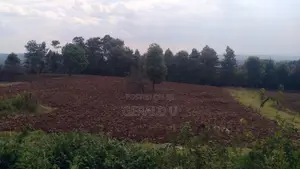 Residential/Investment Plot – Kamandura/Tilisi Limuru 4.5m Neg.