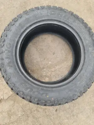 265 /60 R18 Doubleking
