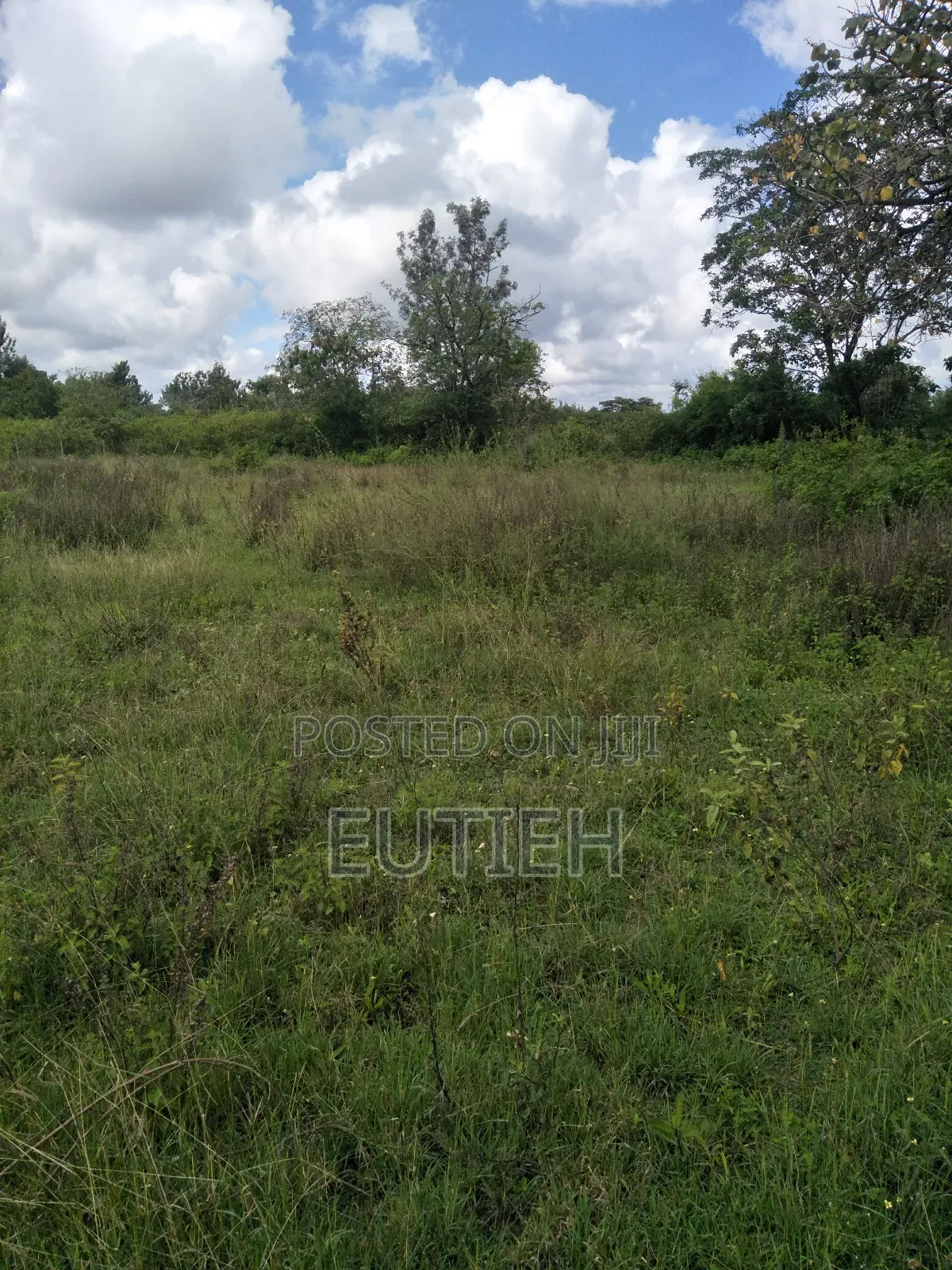 Prime 1/2acre Touching Main Makutano-Sagana Dual Carriage