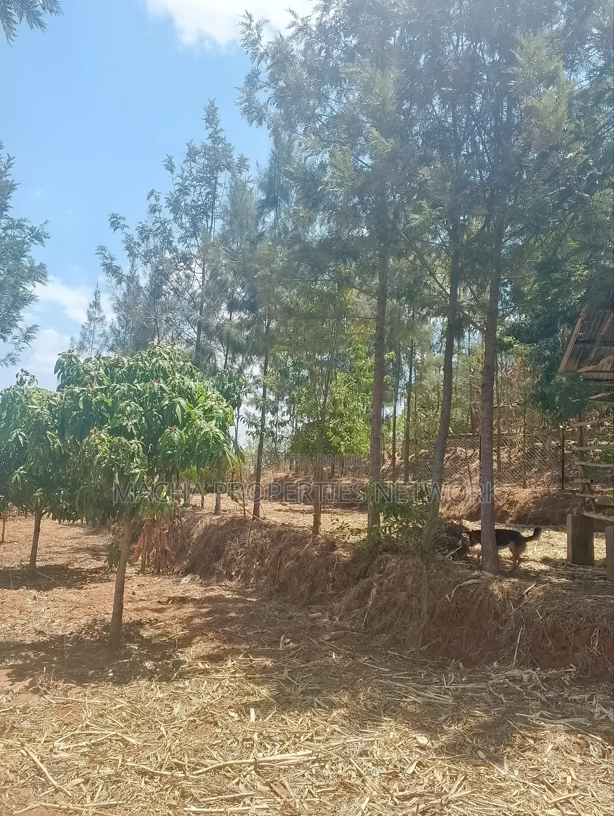Furnished 3bdrm Bungalow in Machakos, Masii for sale