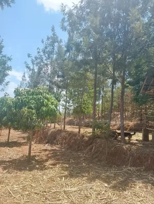 Furnished 3bdrm Bungalow in Machakos, Masii for sale