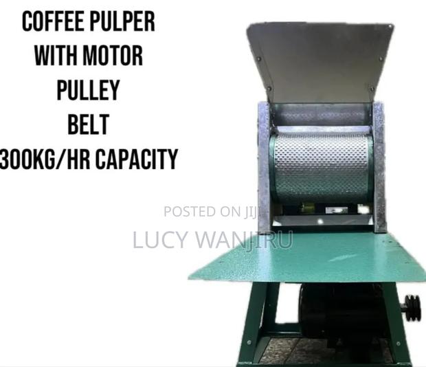 Quality 300 Kg Coffee Pulper
