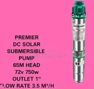Premier Dc Solar Submersible Pump – 65m Head | 1′′ Outlet