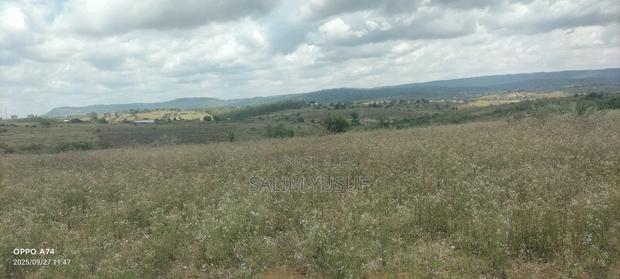 Land on Sale Kwale County Matuga 12 Acres Per Acre - thumbnail 3