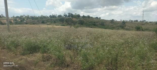 Land on Sale Kwale County Matuga 12 Acres Per Acre - thumbnail 4
