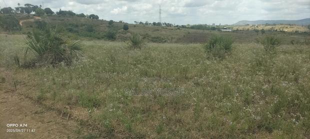 Land on Sale Kwale County Matuga 12 Acres Per Acre - thumbnail 5