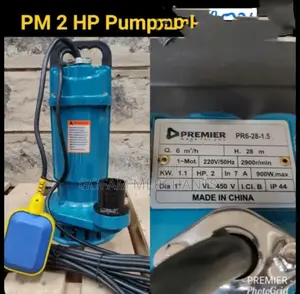Premier Submersible 2 Hp Pump