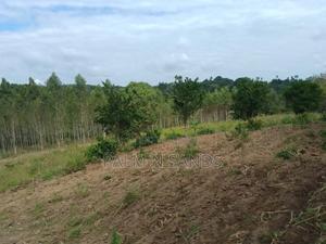 31 Acres in Shimba Hills on Sale - thumbnail 2