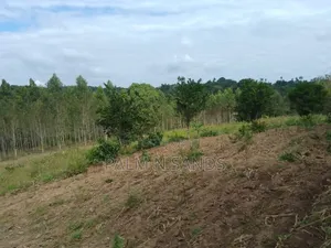 31 Acres in Shimba Hills on Sale