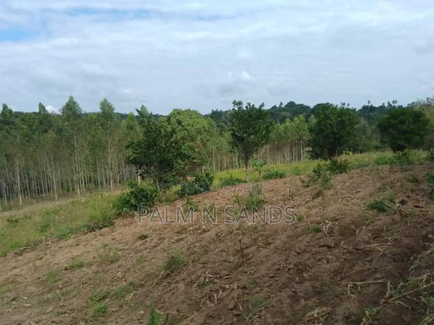 31 Acres in Shimba Hills on Sale - main view