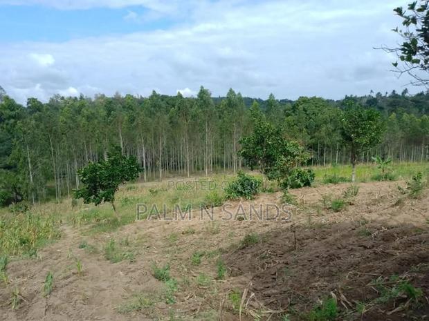 31 Acres in Shimba Hills on Sale - thumbnail 3