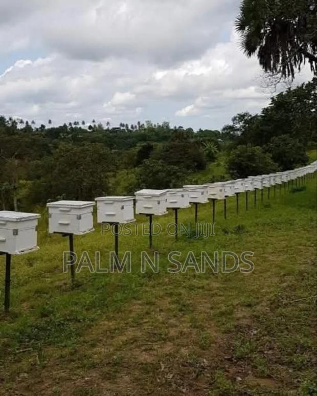 31 Acres in Shimba Hills on Sale - thumbnail 4