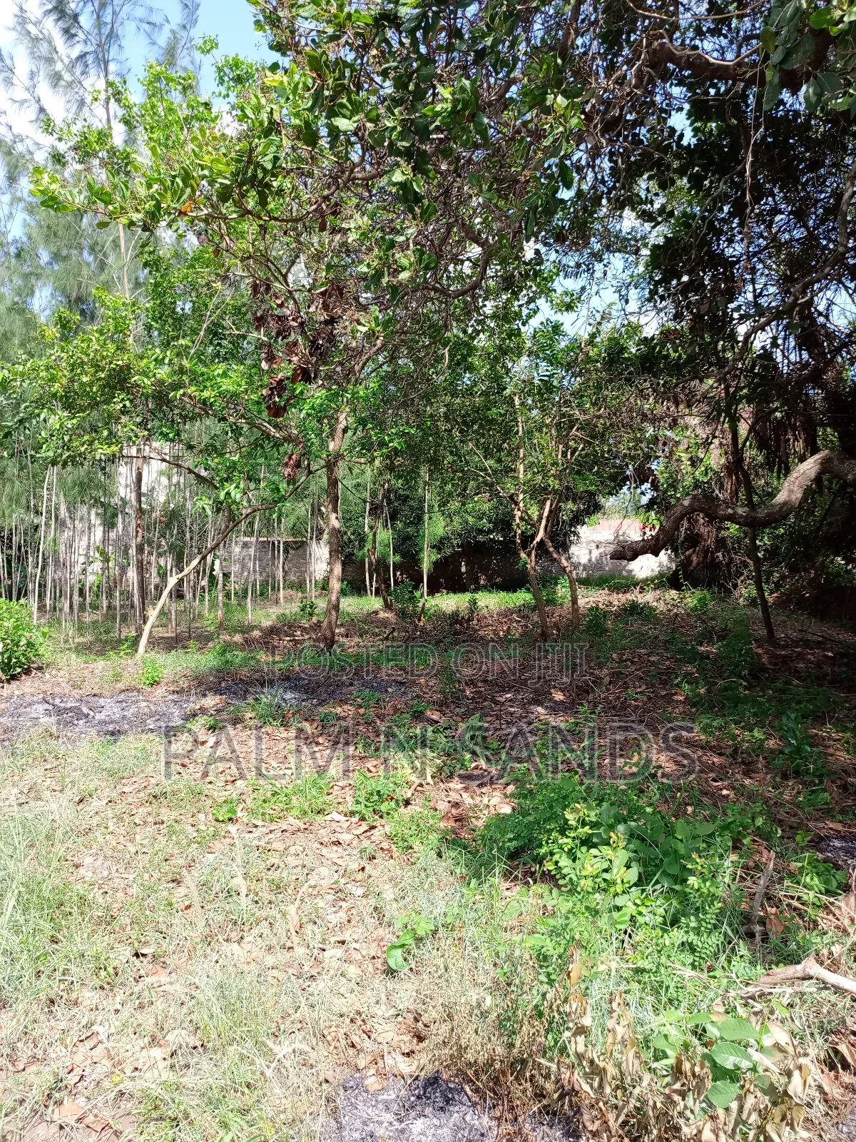 1/4 Acre on Sale in Diani