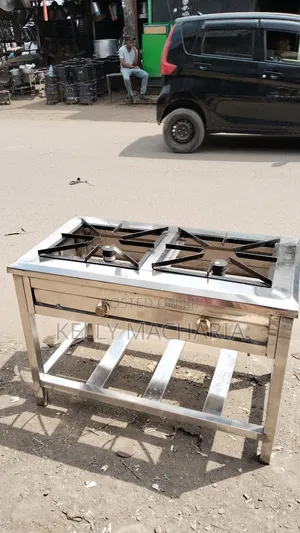 Stainless Two Burner Gas Grill Jikos