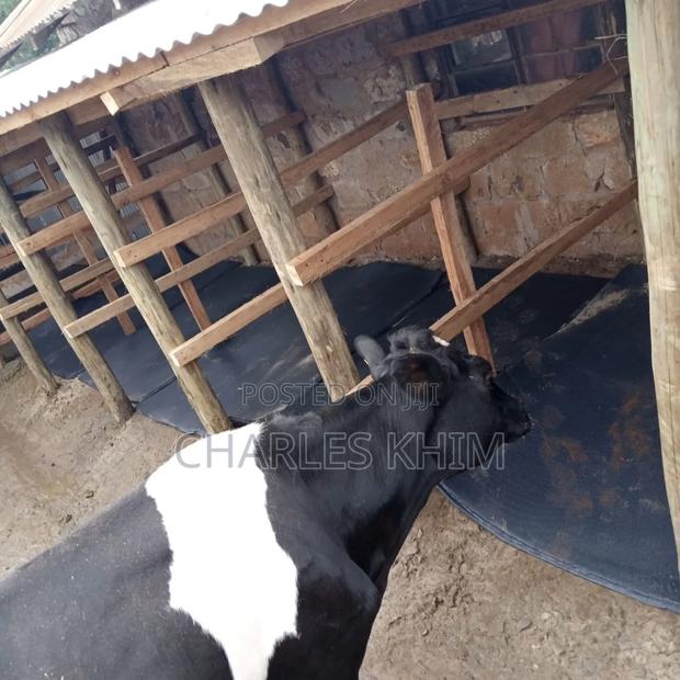 Cow Mattress - thumbnail 3