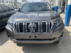Toyota Land Cruiser Prado 2.7 2019 Gray