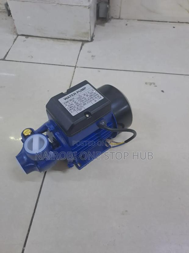 Qb60 Premier Booster Pump