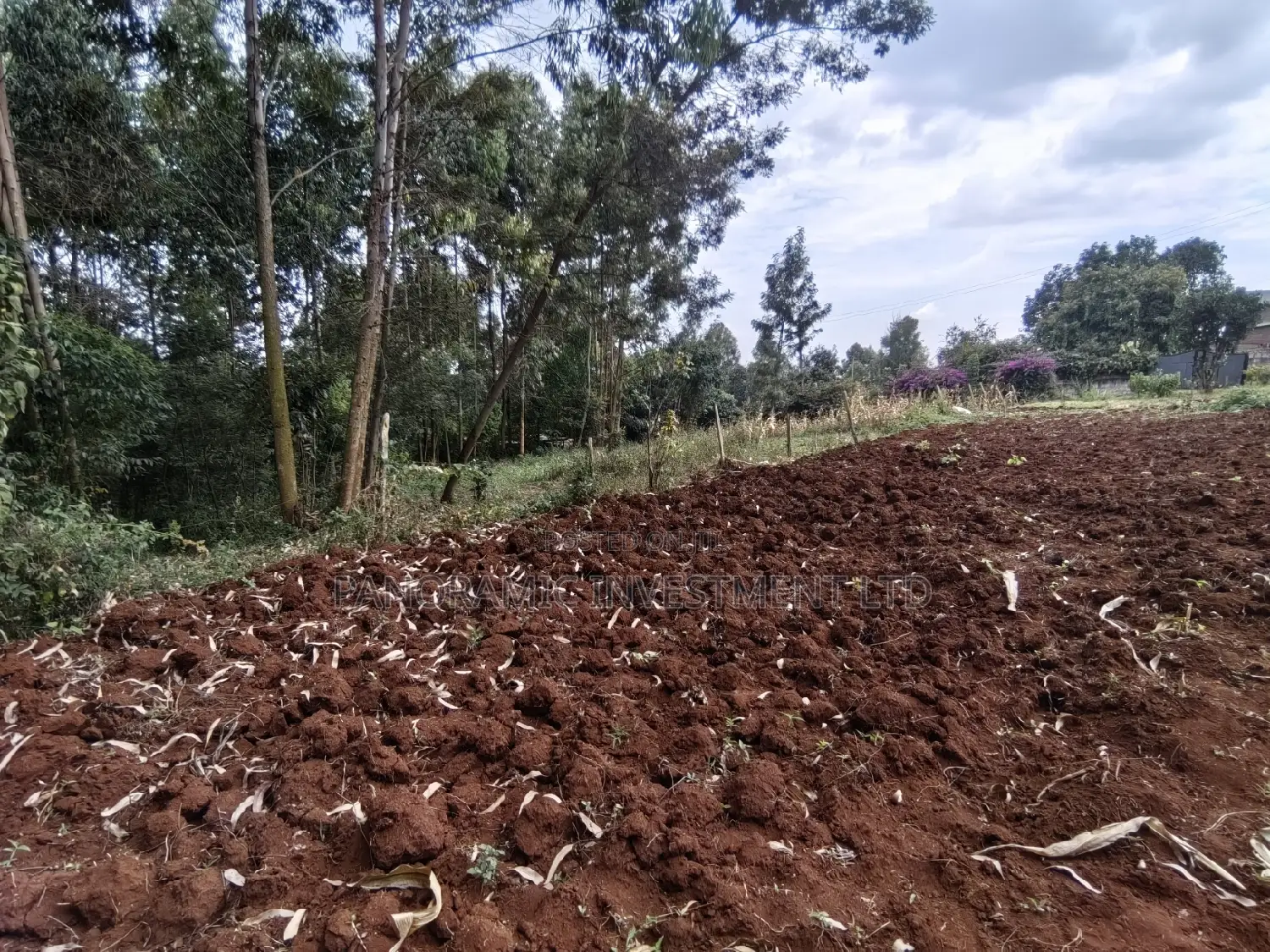 100x100 in Kinoo Kiambu County.